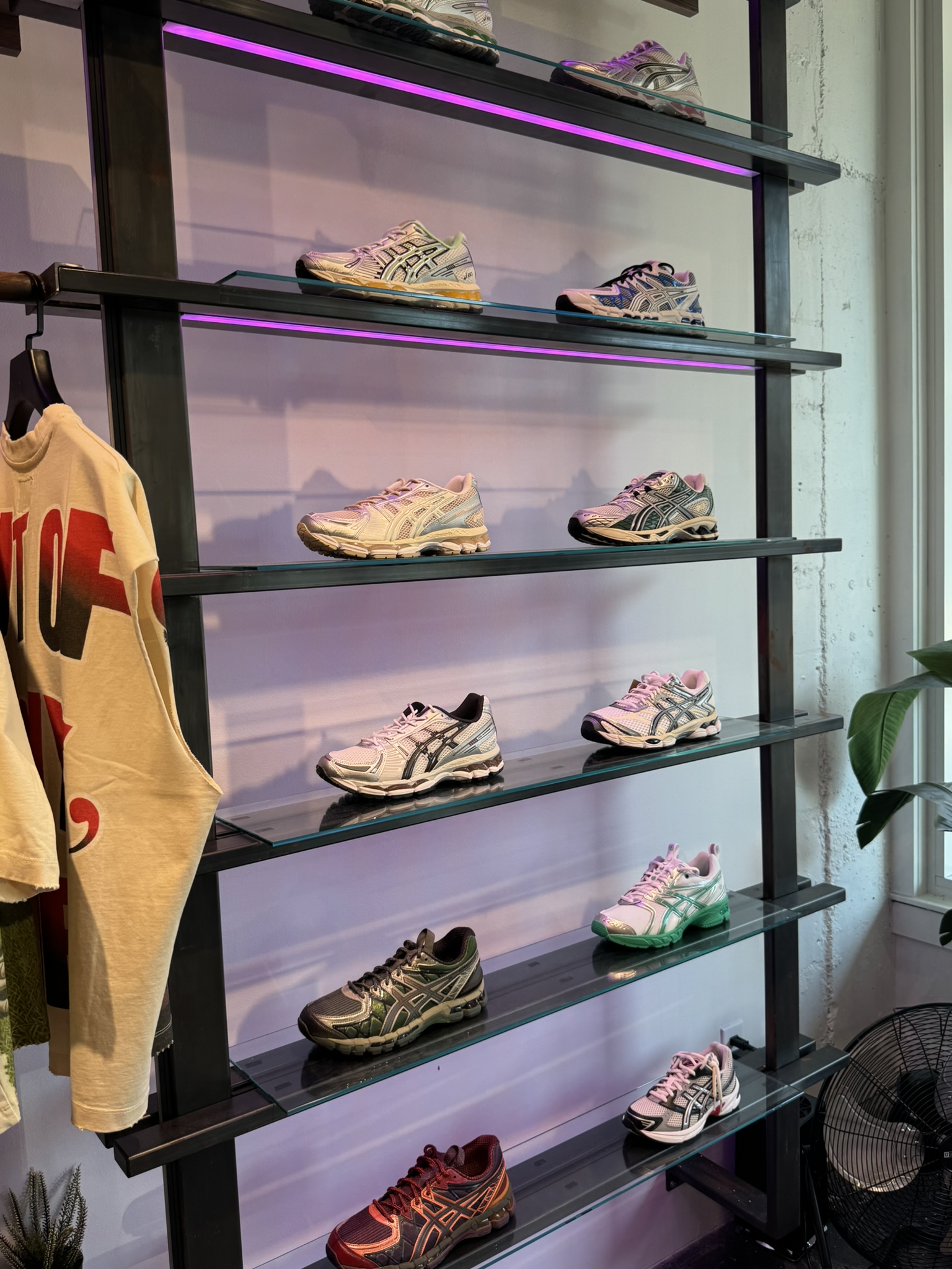 Sneakers displayed on lit glass shelves at Social Status in Tampa Florida